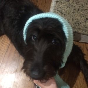 Meet your Posher, Oleńka